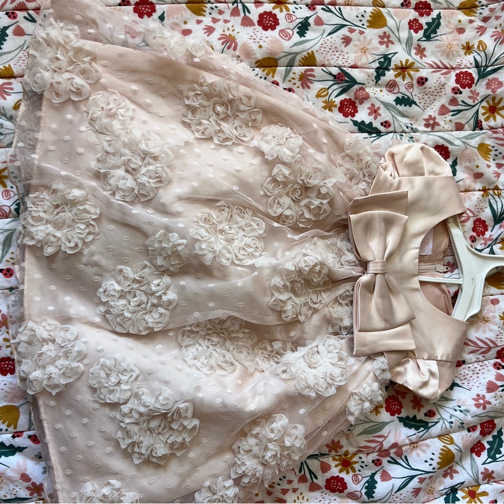 Beautiful dress worn once to wedding